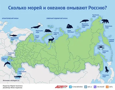 Моря России по бассейнам океанов - Школьные Знания.com