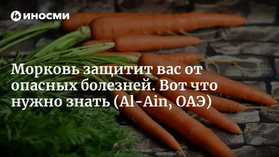 Борьба с вредителями и болезнями моркови - АГРОШКОЛА