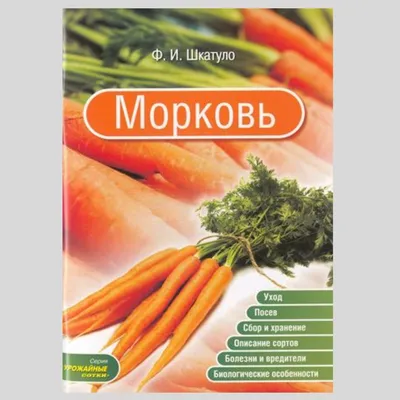 Строгие диеты: как овощные диеты влияют на организм и почему это может быть  опасно | 360°