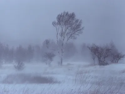 Переохлажденная морось/дождь фиксируется в Кировской области. Атлантике все  таки удалось оттеснить сибирский.. | ВКонтакте