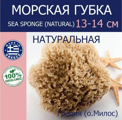 Губка для тела натуральная по цене 448 руб: купить с доставкой по Москве,  характеристики и применение