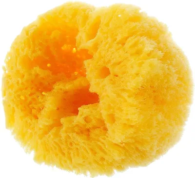 Натуральная морская губка Ok Baby Honeycomb 14 см - купить с доставкой по  выгодным ценам в интернет-магазине OZON (989383228)