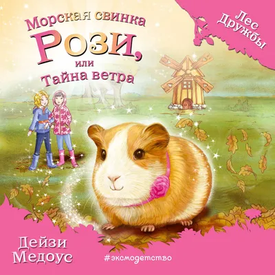 Морская свинка Куи (Cavia porcellus “cuy”) купить - Живая планета