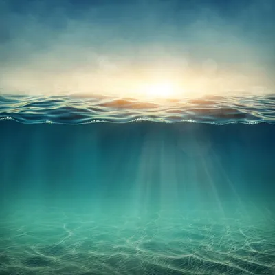 Природная морская вода высокой концентрации Рапсалин «Сила моря»