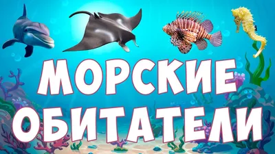 Фотообои Кашалот и морские обитатели купить на стену • Эко Обои