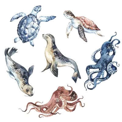 Фигурки животных для детей набор \"Морские обитатели\", 13 фигурок - купить с  доставкой по выгодным ценам в интернет-магазине OZON (585016258)