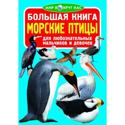 Глупыш: морская птица с необычным «оружием». Убивает врага одним плевком |  Заметки о животных | Дзен