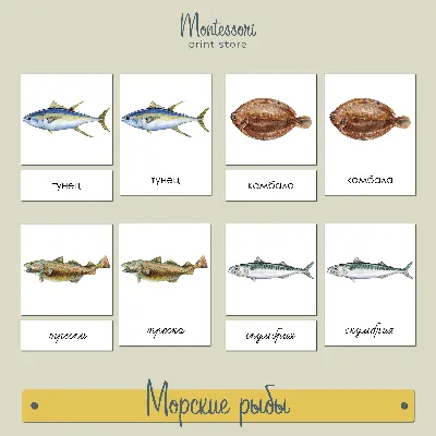 Морские рыбы - трехчастные карточки Монтессори купить и скачать