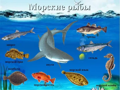 Создание коллективного панно «Морские рыбки» с детьми старшего дошкольного  возраста (11 фото). Воспитателям детских садов, школьным учителям и  педагогам - Маам.ру