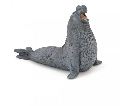 Фигурка Северный морской слон Papo 56032 — купить в фирменном магазине Papo
