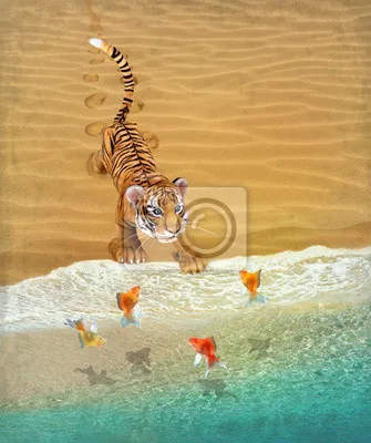 Тигр у моря » Рыжие тигры » Кошачья галерея » Magnus Felidae (Великие  Кошачьи) - красота и превосходство!