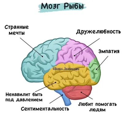 Сыктывкарец пожарил рыбу, а там оказались черви (фото)