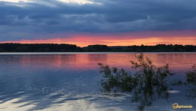 День 19. Можайское водохранилище или «В этом году море только такое» | Таня  с Конфеткой | Дзен