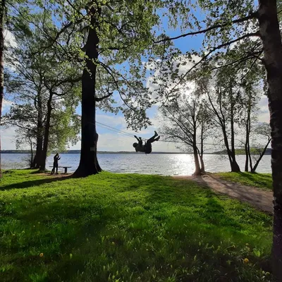 В ДНП Можайское море пришло весеннее тепло