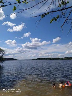 День 19. Можайское водохранилище или «В этом году море только такое» | Таня  с Конфеткой | Дзен