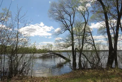 Топ-10 мест отдыха на Можайском водохранилище: туристические базы, отели,  кемпинги и пляжи | Путеводитель Подмосковья