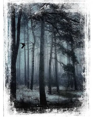 Мрачный лес. | Картины, Лес, Рисовать