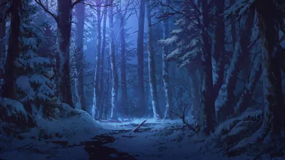 мрачный лес со страшными деревьями. Иллюстрация штока - иллюстрации  насчитывающей ноча, темнота: 269583332