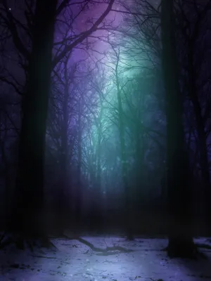 мрачный зимний лес - Поиск в Google | Scary backgrounds, Dark wallpaper,  Scary wallpaper