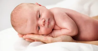 Мраморная кожа у ребенка: причины появления | WDAY