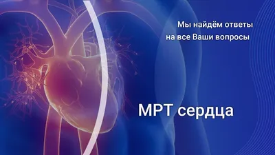 Что показывает МРТ, где сделать, отзывы, цена, в Санкт-Петербурге