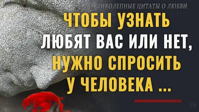 Цитаты из фильмов про любовь: высказывания, которые не теряют актуальности