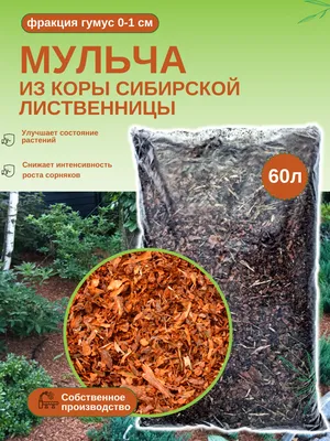 Мульча: что это, виды, как использовать в саду и огороде