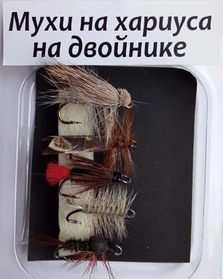 Caddis Pupa v.3