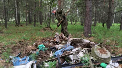 Он-лайн приемная администрации. Мусор на входе в лес » vseverske.info