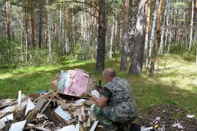 Фотография свалки мусора в лесу теперь может стать причиной возбуждения  административного дела | 10.01.2023 | Томск - БезФормата