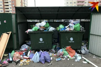 В Реутове до конца 2019 г мусорные площадки оборудуют для раздельного сбора  - Общество - РИАМО в Реутове