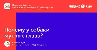 Капли для глаз Pfizer(Пфайзер) Визин - «Капли для косметическоно эффекта -  есть ли смысл тратить 500 рублей? » | отзывы