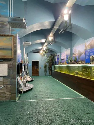 Водно — информационный центр «Музей Воды», Киев. - Аква Академия