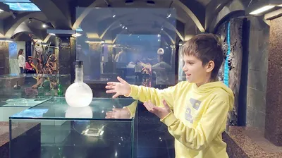 Музей «Вселенная воды» — уникальное место в Санкт-Петербурге