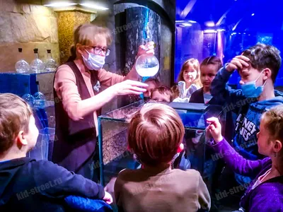 Мостурфлот - Интересные места в круизе 📍 Музей «Вселенная воды» в  Санкт-Петербурге ⤵️ Это один из самых необычных и интересных музеев. Весь  Экспозиционно-выставочный комплекс «Вселенная Воды» объединен единой  концепцией, единой тематикой –