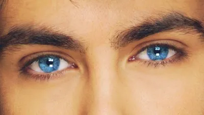 10 интересных фактов о голубых глазах, которых Вы, возможно, не знали. | 10  ФАКТОВ | Дзен