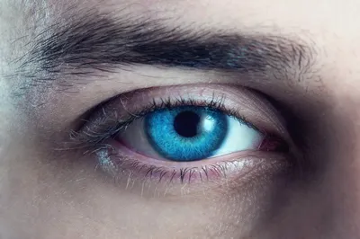 визуализированный 3d профиль мужчины с мятным свитером голубыми глазами и  светлыми волосами, 3д, 3d человек, 3d персонаж фон картинки и Фото для  бесплатной загрузки