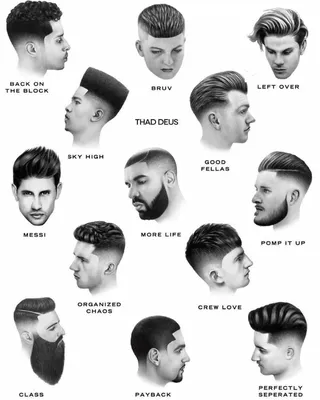 Модные мужские стрижки 2018-2019 года: фото, идеи мужских стрижек, название  мужских стрижек | GlamAdvice | Barba hombre, Tipos de barba, Cortes de pelo  hombre