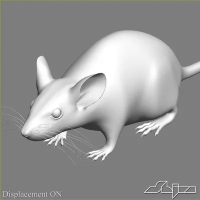 Восхитительные крошечные грызуны творческие 3d произведения, крыса, мышь  животное, грызун фон картинки и Фото для бесплатной загрузки