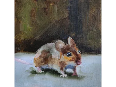 Мышь Мягкая в виде животного, мягкая реальная жизнь, маленькая серая крыса,  мышь, плюшевая игрушка, мыши, мягкие игрушки-животные, куклы, подарки для  детей, домашних животных | AliExpress
