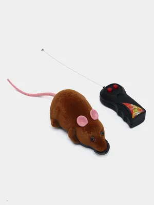 мультяшная мышь животное сидит на поверхности стола, картинки милых  мультяшных животных фон картинки и Фото для бесплатной загрузки