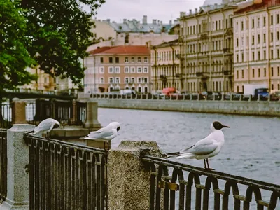 Foto de Санкт-Петербург, набережная река Фонтанки зимой в ясный день do  Stock | Adobe Stock