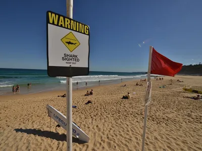 Опасности на пляже: почему туристы гибнут на отдыхе и как этого избежать -  РИА Новости, 06.07.2022