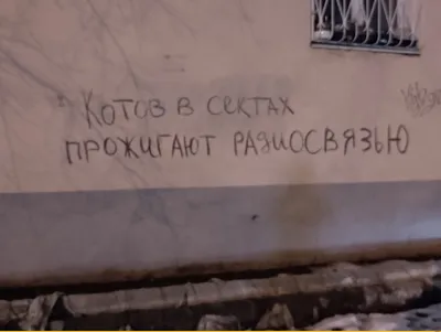 Юрист рассказал, за какие надписи на стенах можно сесть в тюрьму | ОБЩЕСТВО  | АиФ Краснодар