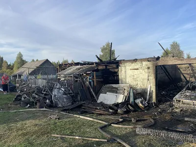 Пневский замок в Ивано-Франковской области.