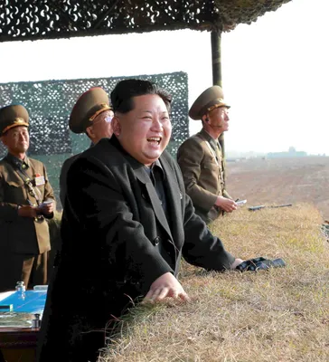 Почему северокорейские генералы увешаны медалями? Когда они вообще воевали  последний раз?