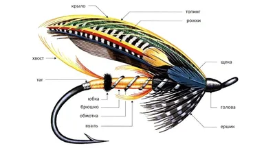 Мушки для нахлыстовой ловли: из каких частей состоят рыболовные мушки.  Лучшие приманки для семги