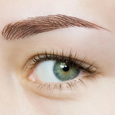 Magic 4D Hair Like Eyebrow Tattoo Sticker Накладные Брови 7 Дней Длительный  Супер Водонепроницаемый Макияж Глаз Брови Наклейки Косметика От 101 руб. |  DHgate