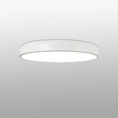 Потолочный накладной светильник COCOTTE-L Faro 64182 в ассортименте: купить  по доступным ценам, продажа, доставка, консультации, фотографии — Sale7