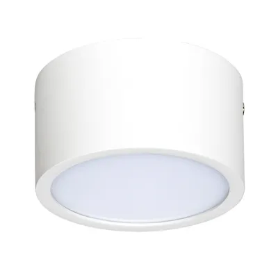Настенно-потолочный светильник Lightstar Zolla 211916, IP44 — купить оптом  от официального производителя | Lightstar Group